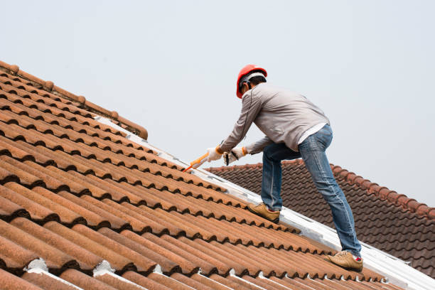 Best Asphalt Shingle Roofing  in Norwalk, OH
