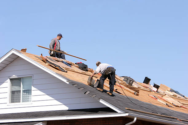 Best Roofing for New Construction  in Norwalk, OH